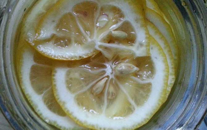 蜂蜜檸檬水的功效與禁忌及做法 蜂蜜檸檬水