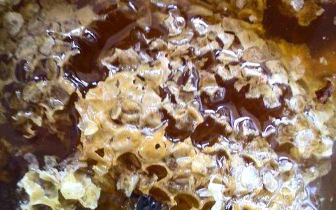 蜂巢的功效與作用及食用方法 蜂巢