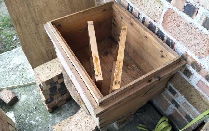 發展蜜蜂養殖有什么好處? 蜜蜂養殖