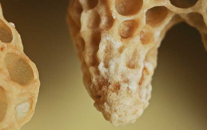 王臺封蓋后幾天能人工分蜂? 王臺