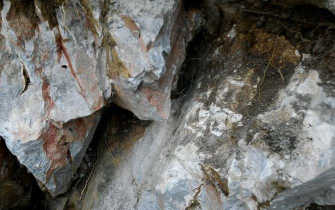 蜜蜂會在哪里筑巢?選址極為苛刻,不滿足這些條件絕不安“家”! 蜜蜂筑巢