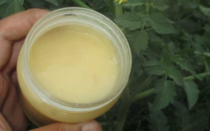 蜂蜜的種類有哪些?因分類依據的不同,蜂蜜可劃分成很多種類! 蜂蜜