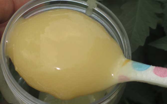 蜂蜜的種類有哪些?因分類依據的不同,蜂蜜可劃分成很多種類! 蜂蜜