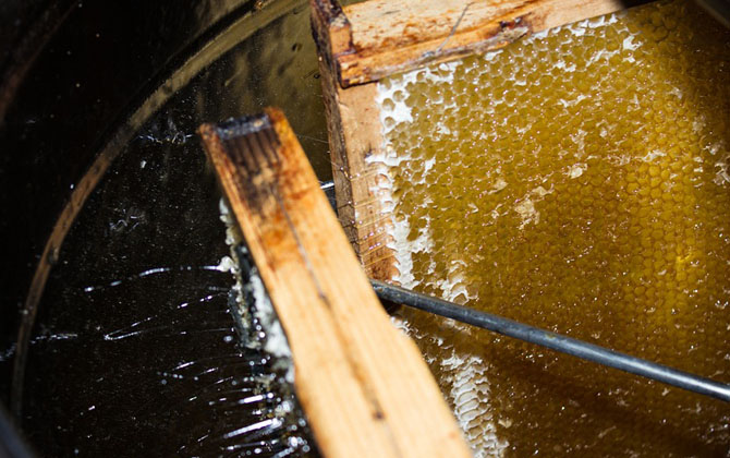 蜂產(chǎn)品有哪些種類?不僅僅只有蜂蜜,有些蜂產(chǎn)品比蜂蜜還要值錢! 蜂蜜