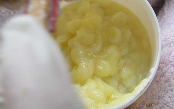 女人吃蜂王漿的副作用有哪些?蜂王漿雖好,但這些副作用要小心! 蜂王漿