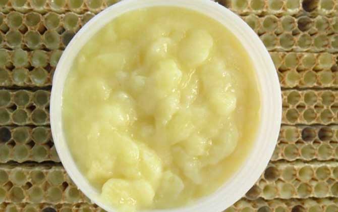 女人吃蜂王漿的副作用有哪些?蜂王漿雖好,但這些副作用要小心! 蜂王漿