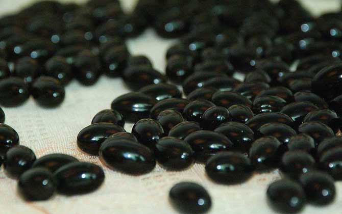 買蜂膠哪個牌子好?大品牌固然有保障,但重點要核實相關批文! 蜂膠