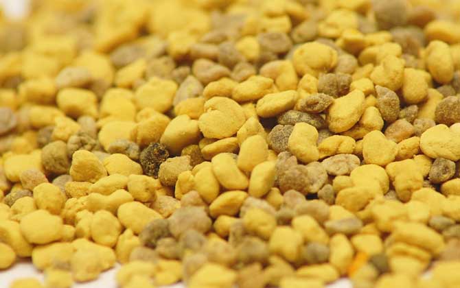 蜂花粉的作用與功效有哪些?經常吃些蜂花粉,這7個好處跑不了! 蜂花粉