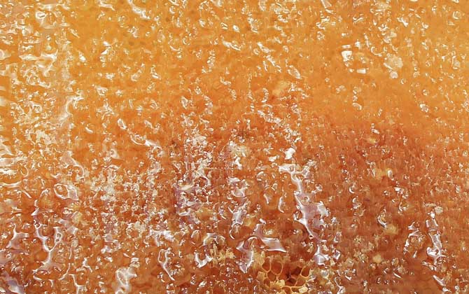 蜂蜜可以洗臉嗎?用對(duì)了好處不用多說(shuō),用錯(cuò)了反而引發(fā)肌膚問(wèn)題! 蜂蜜