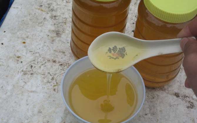 蜂蜜減肥的正確吃法,控制好食用量最關鍵,什么時候喝也很重要! 蜂蜜