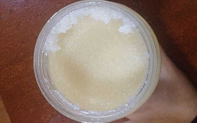 蜂蜜酸奶面膜怎么做?實際上很簡單,但用法不正確反而損害肌膚! 蜂蜜