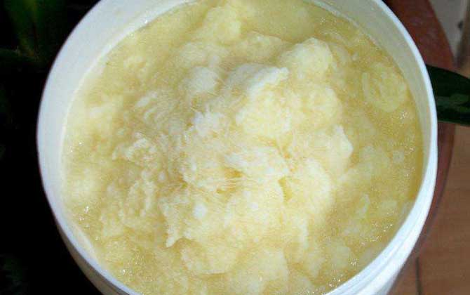 蜂王漿是什么味道的?酸、澀、辣、甜,怪得讓很多人都難以接受! 蜂王漿