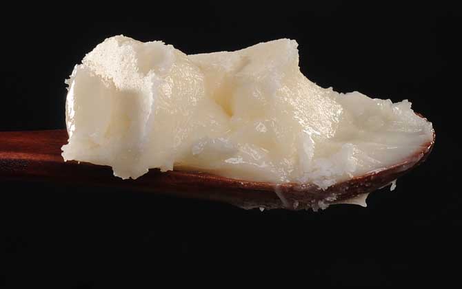 黑蜂蜂蜜的作用與功效有哪些?不但能潤腸通便,還能美容養顏! 黑蜂蜂蜜