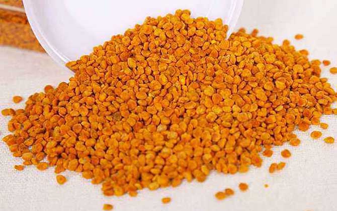 茶花粉的功效與作用有哪些?經(jīng)常吃些茶花粉,這6個(gè)好處跑不了! 茶花粉