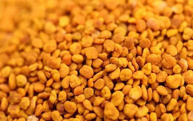 茶花粉的功效與作用有哪些?經(jīng)常吃些茶花粉,這6個(gè)好處跑不了! 茶花粉