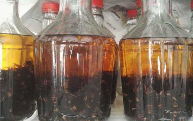 蜂酒的功效與作用有哪些?不但能祛風除濕,而且還能補腎壯陽! 蜂酒