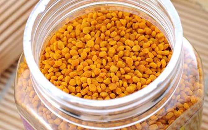 蜂花粉的禁忌有哪些?除了不能過量食用,還要提防發(fā)生過敏反應(yīng)! 蜂花粉