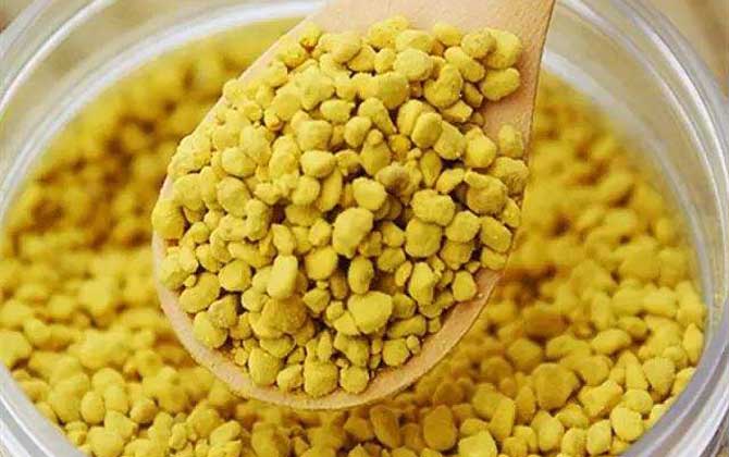 蜂花粉的禁忌有哪些?除了不能過量食用,還要提防發(fā)生過敏反應(yīng)! 蜂花粉