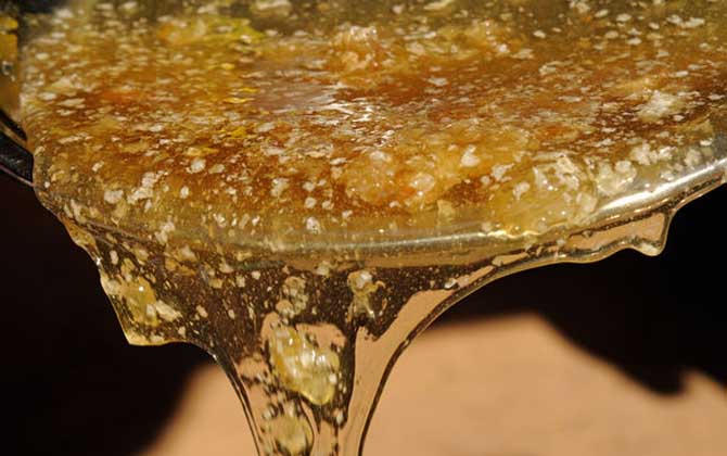 女人喝蜂蜜水的最佳時(shí)間,記住這四個(gè)時(shí)間點(diǎn),喝蜂蜜水效果最好! 蜂蜜