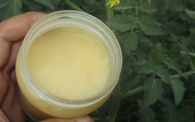 女人喝蜂蜜水的最佳時(shí)間,記住這四個(gè)時(shí)間點(diǎn),喝蜂蜜水效果最好! 蜂蜜