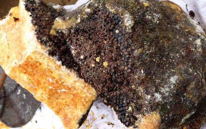 石蜜是什么東西?和蜂蜜沒(méi)有任何關(guān)系,騙子常用來(lái)欺騙消費(fèi)者! 石蜜