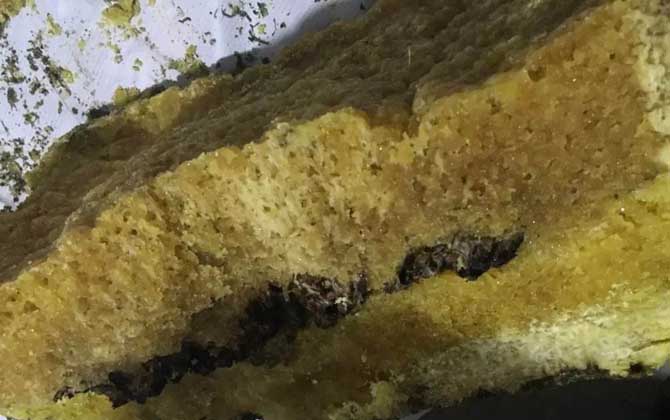 石蜜是什么東西?和蜂蜜沒(méi)有任何關(guān)系,騙子常用來(lái)欺騙消費(fèi)者! 石蜜