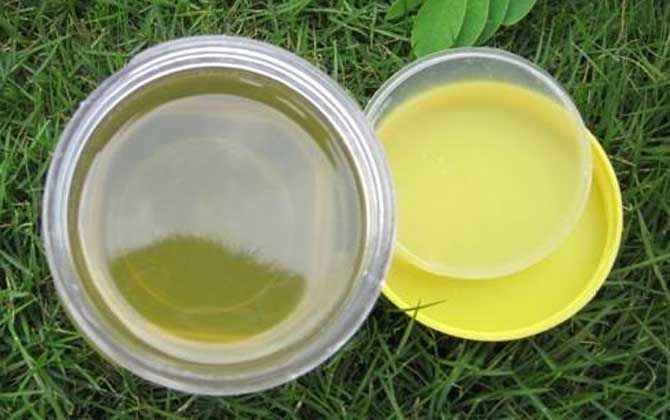 油菜花蜂蜜有什么功效與作用?這6個好處,只有經常喝的才知道! 油菜花蜂蜜