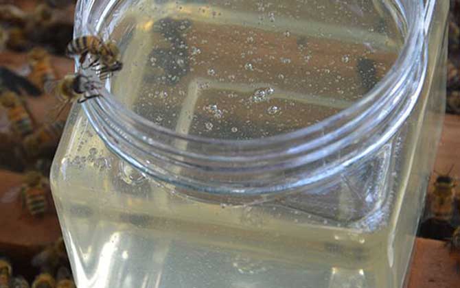 洋槐蜂蜜有什么功效與作用?經(jīng)常喝洋槐蜂蜜,這7個好處跑不了! 洋槐蜂蜜