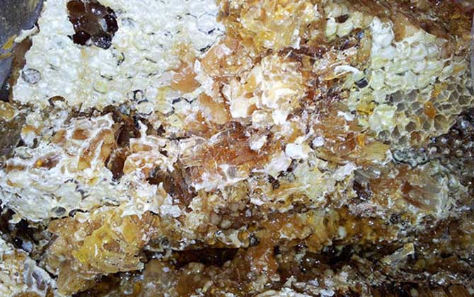 土蜂蜜價(jià)格多少錢一斤?比普通蜂蜜貴得多,基本都在100元以上! 土蜂蜜