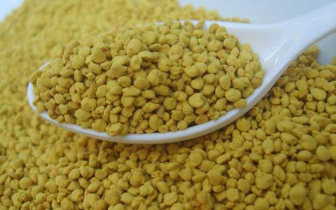 油菜花粉的功效與作用,經(jīng)常吃油菜花粉,這7個好處跑不了! 油菜花粉