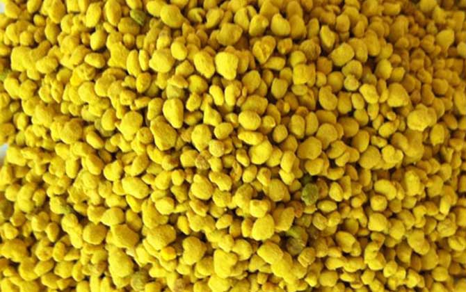 油菜花粉的功效與作用,經(jīng)常吃油菜花粉,這7個好處跑不了! 油菜花粉