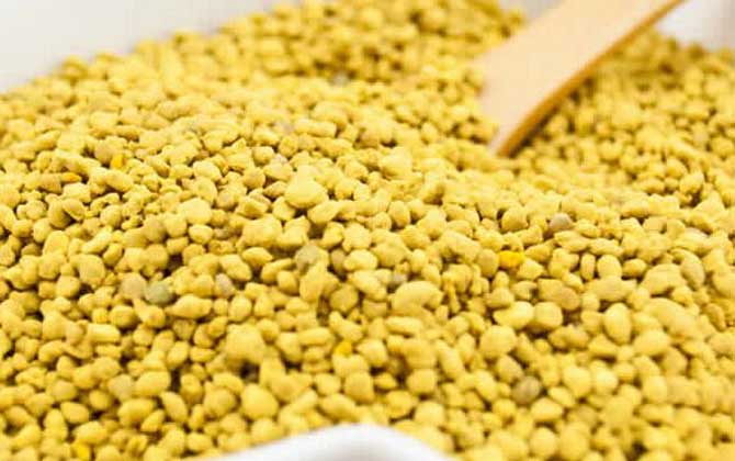 油菜花粉的功效與作用,經(jīng)常吃油菜花粉,這7個好處跑不了! 油菜花粉