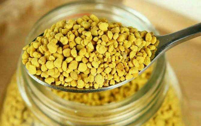 油菜花粉的功效與作用,經(jīng)常吃油菜花粉,這7個好處跑不了! 油菜花粉