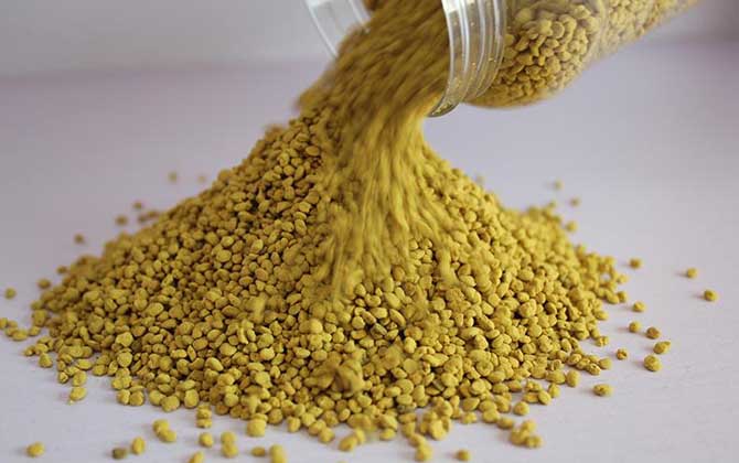 油菜花粉的功效與作用,經(jīng)常吃油菜花粉,這7個好處跑不了! 油菜花粉