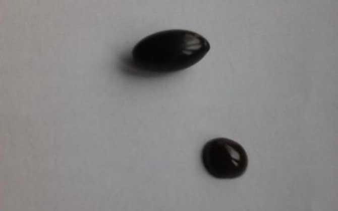 女性吃蜂膠要注意什么?要謹(jǐn)防發(fā)生過(guò)敏反應(yīng),更不能過(guò)量服用! 蜂膠