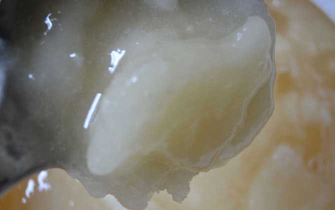 蜂蜜變質后的圖片是什么樣?出現這4種情況,說明蜂蜜已經變質! 蜂蜜