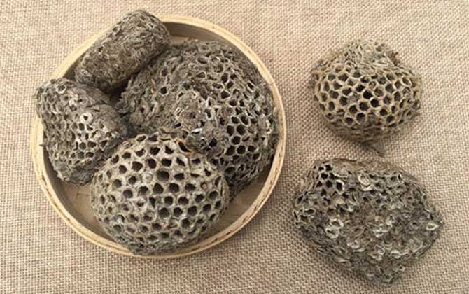 蜂房怎樣吃不會中毒?蜂房有小毒,必須在醫生的指導下服用! 蜂房