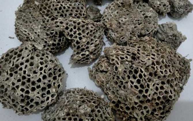 蜂房怎樣吃不會中毒?蜂房有小毒,必須在醫生的指導下服用! 蜂房