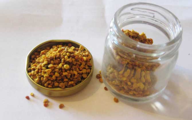 花粉的正確食用方法,絕對不能過量食用,還要注意禁忌人群! 花粉