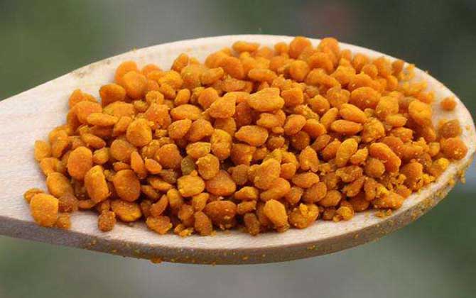 什么花粉祛斑效果最好?首選茶花粉和荷花粉,其次是油菜花粉! 茶花粉