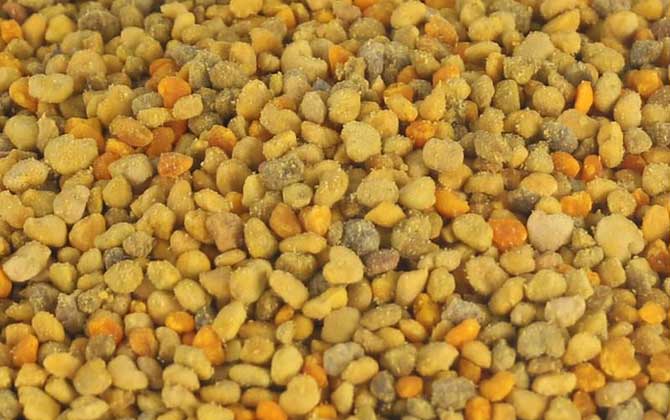 什么花粉祛斑效果最好?首選茶花粉和荷花粉,其次是油菜花粉! 百花粉