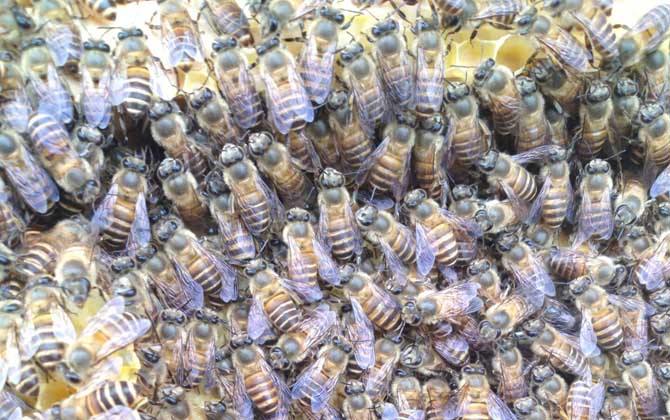 工產群怎么介王安全? 工產群介王