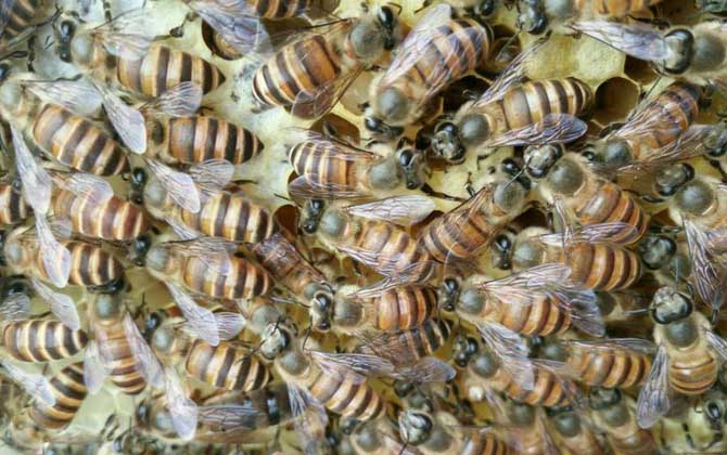 工產群怎么介王安全? 工產群介王