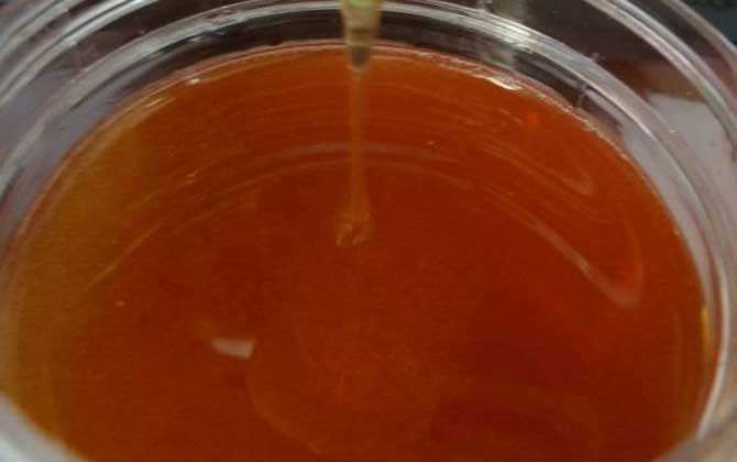 柑橘蜜的功效與作用及食用方法 柑橘蜜