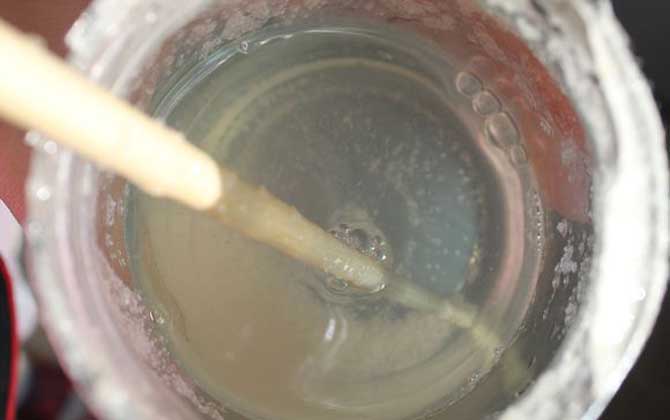 野桂花蜜的功效與作用及食用方法 野桂花蜜