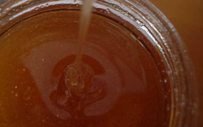 黨參蜂蜜的功效與作用及食用方法 黨參蜂蜜