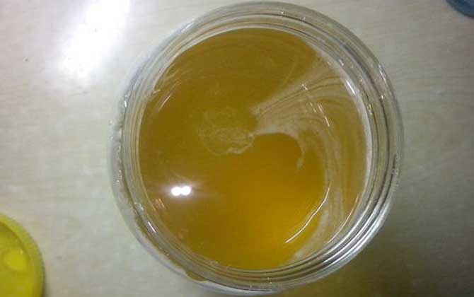 紫云英蜜的功效與作用及食用方法 紫云英蜜