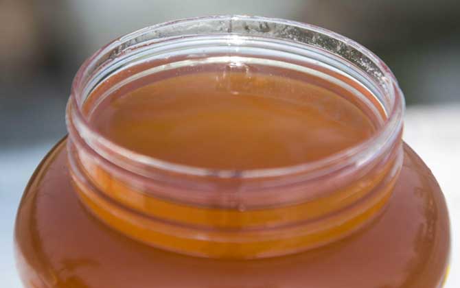 益母草蜂蜜的功效與作用及食用方法 益母草蜂蜜