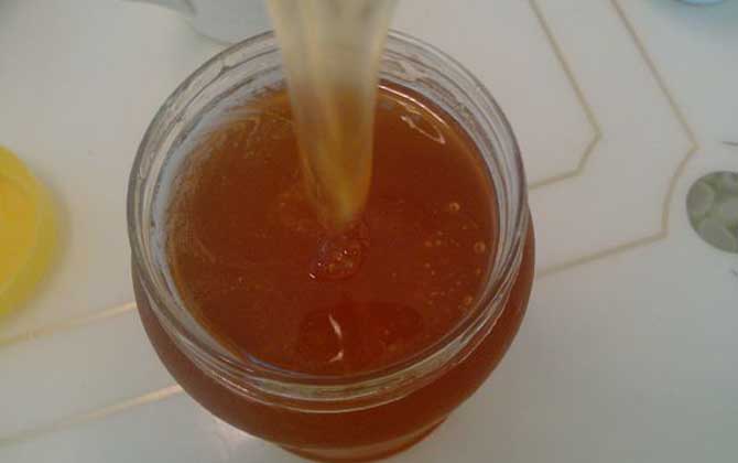 益母草蜂蜜的功效與作用及食用方法 益母草蜂蜜