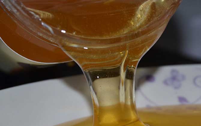 蒲公英蜜的作用與功效及食用方法 蒲公英蜜